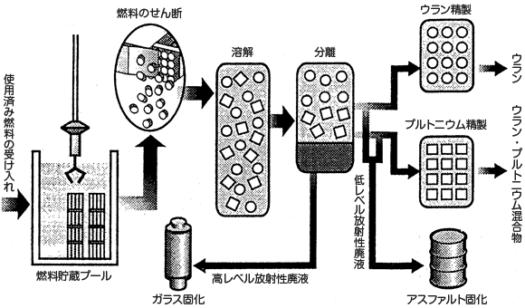 放射性廃棄物の固化プロセス